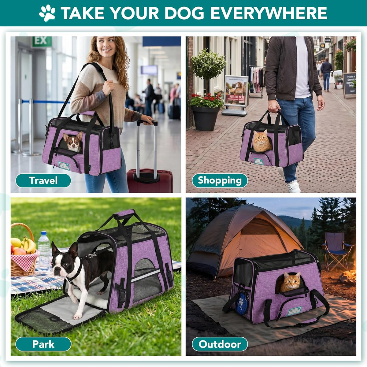 Airline-Approved Pet Carrier for Cats and Small Dogs in Large Heather Purple
