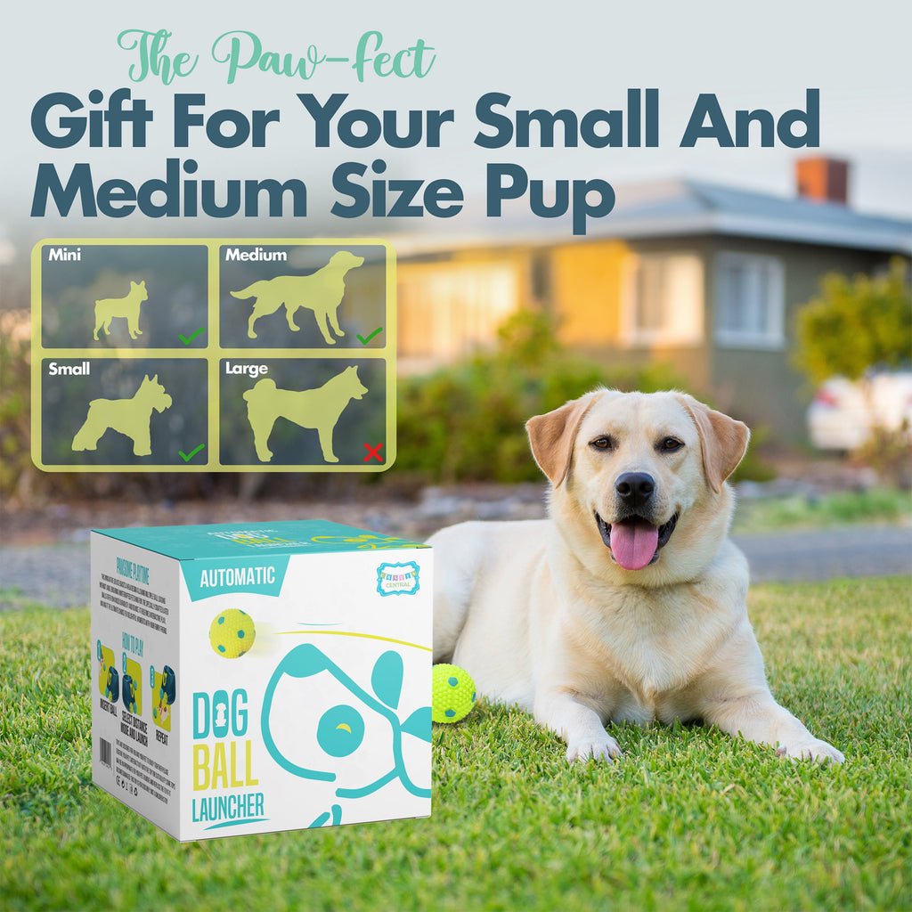 Automatic Dog Ball Launcher - Interactive Fetch Machine for Small to Medium Dogs with 6 Latex Balls and Dual Power Supply Make title more professional and balanced