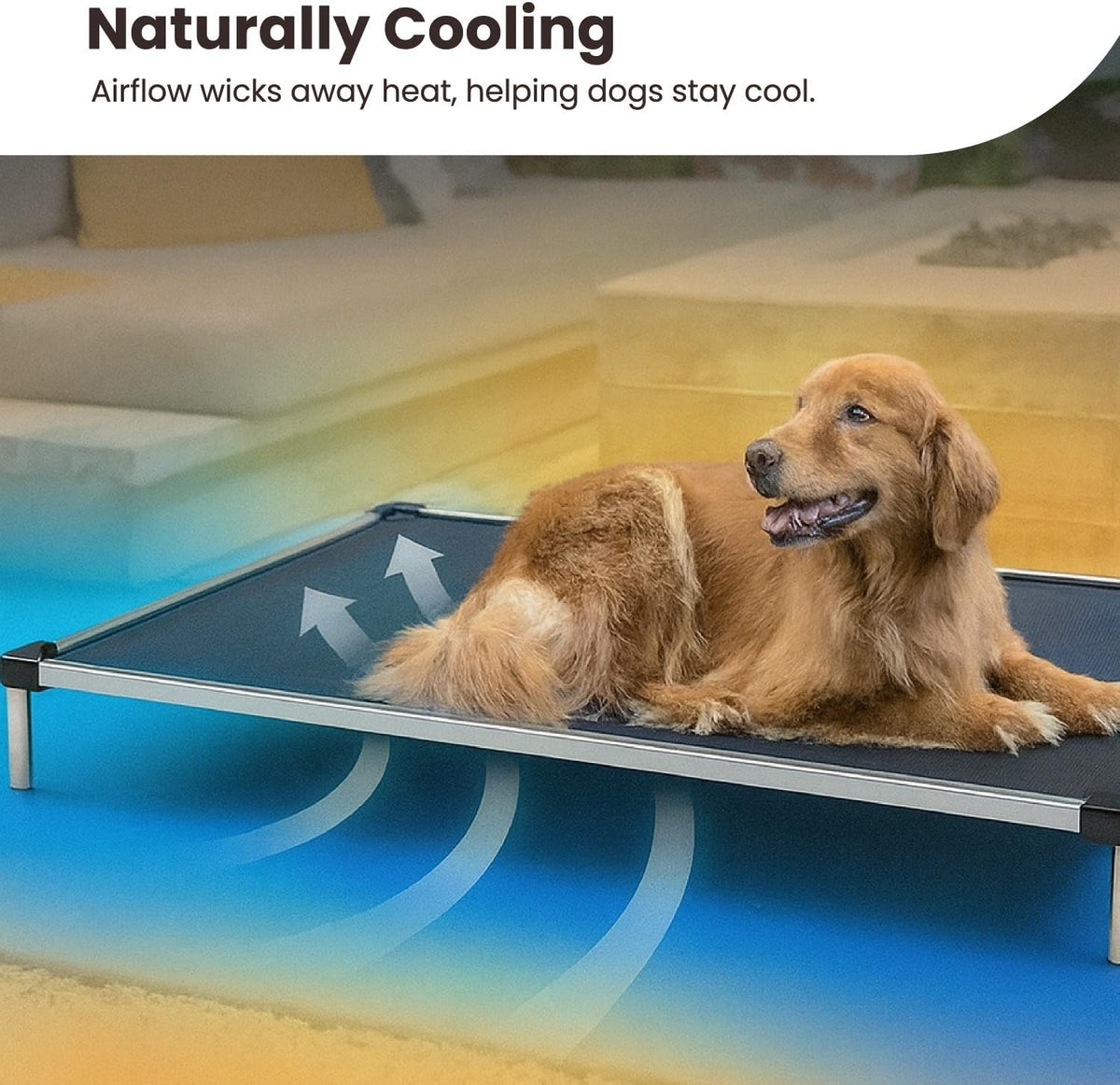 Chew Proof Elevated Cot Bed, L, Black Mesh Make title more professional and balanced