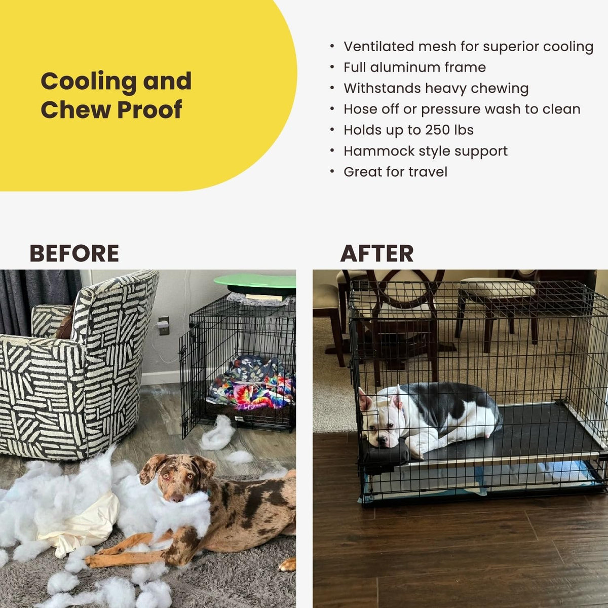 Chew Proof Elevated Cot Bed, L, Black Mesh Make title more professional and balanced
