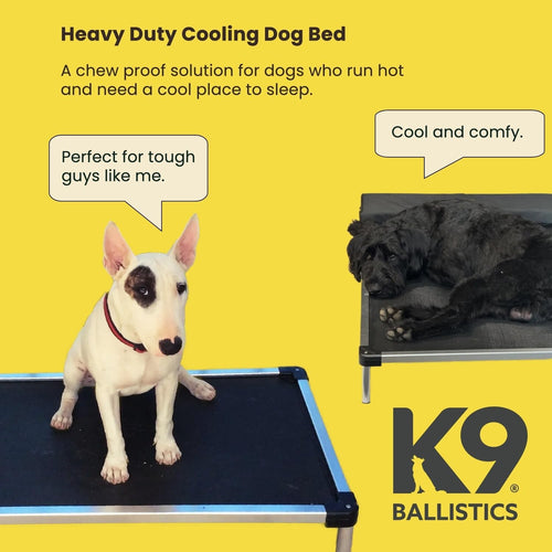 Chew Proof Elevated Cot Bed, L, Black Mesh Make title more professional and balanced